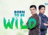 Born To Be Wild September 15 2024